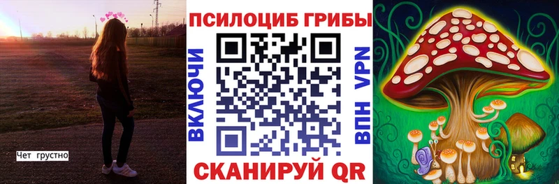 Псилоцибиновые грибы ЛСД  МЕГА tor  Фурманов  цена наркотик 
