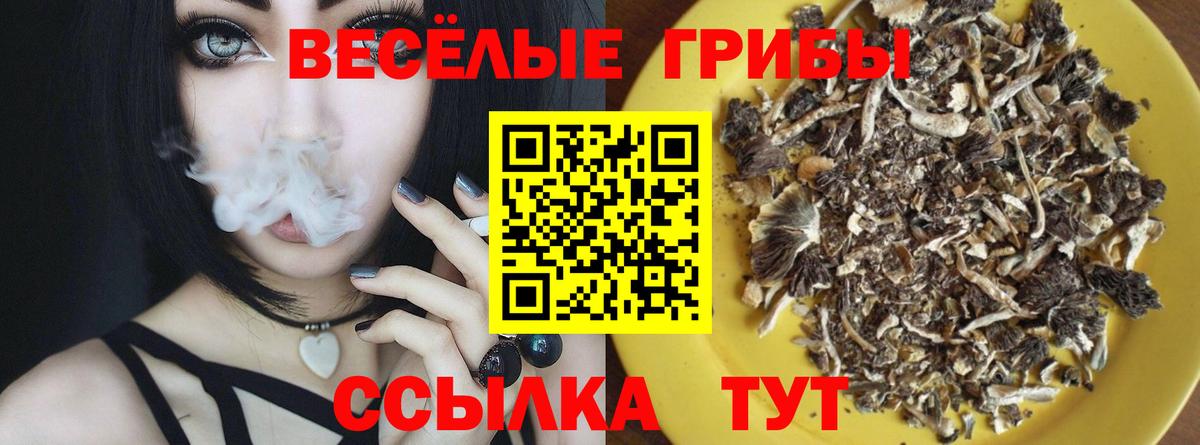 Псилоцибиновые грибы мухоморы Фурманов