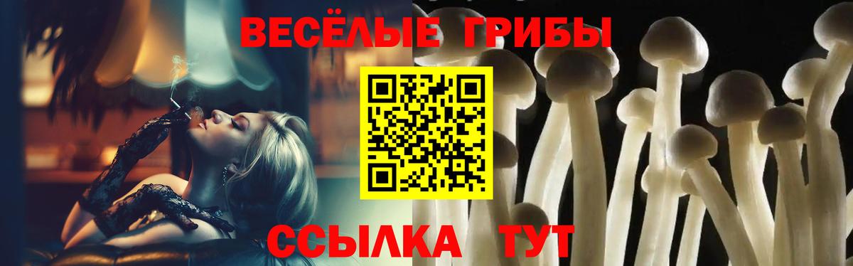 Фурманов  Псилоцибиновые грибы Magic Shrooms  Вход с VPN  Псилоцибиновые грибы Cubensis 
